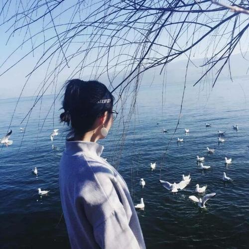 濑田宗次郎（身份：十刃最强、“天剑”、微笑的修罗） - 教育课程视频在线观看 - 网络追剧
